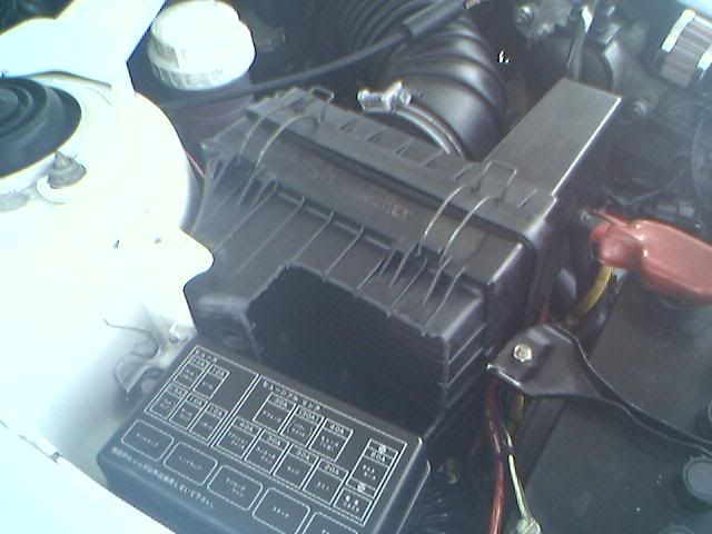01-06-05_0958.jpg