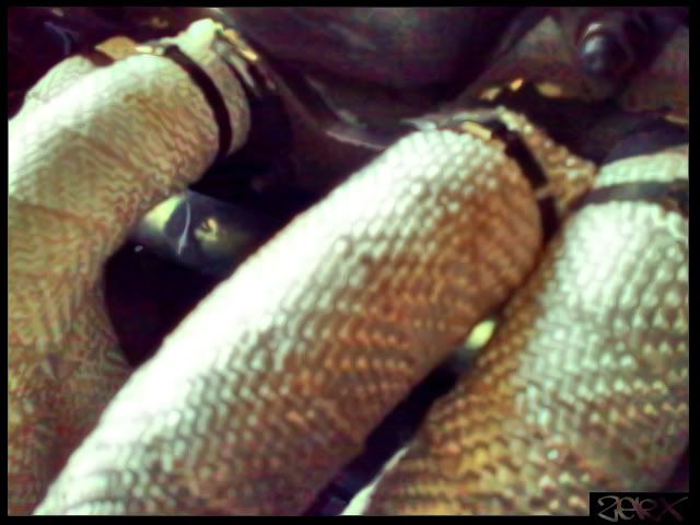 01102008342.jpg