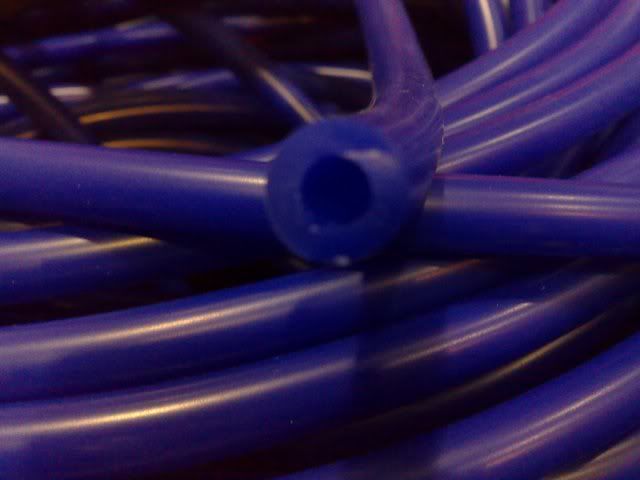 03022010135.jpg