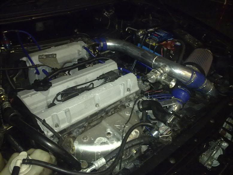 05062009343.jpg