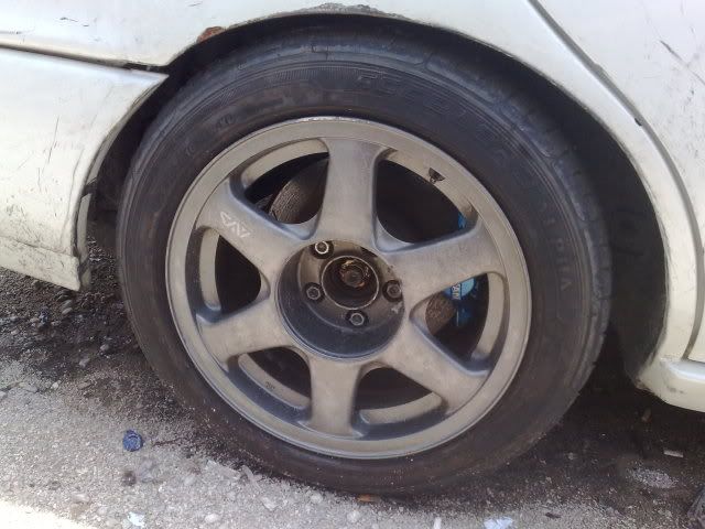 05072009728.jpg