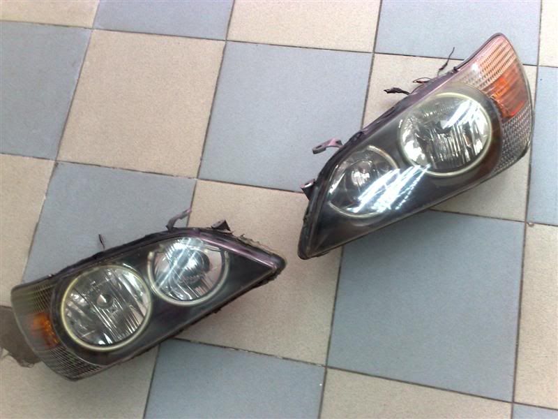 06062009126Medium.jpg