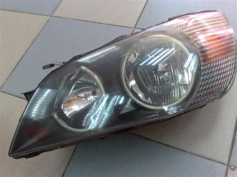 06062009128Medium.jpg