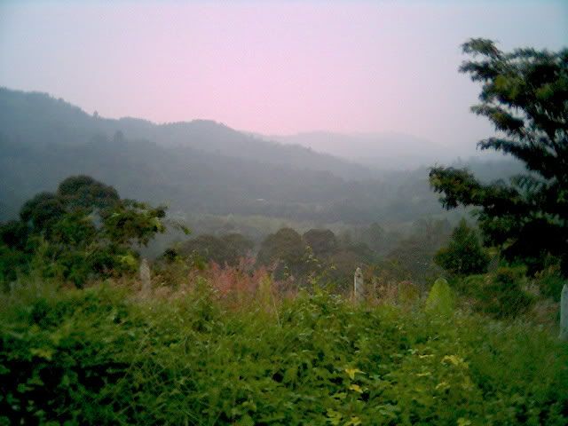 0807_145541.jpg