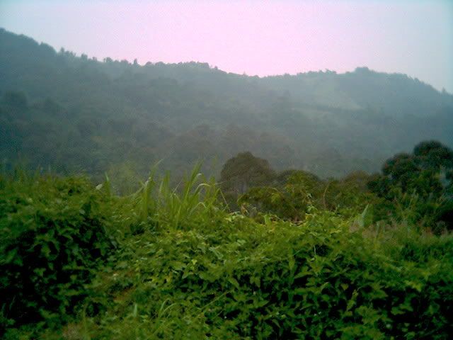 0807_145546.jpg
