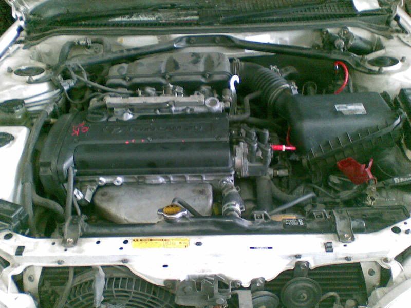09032010003-1.jpg