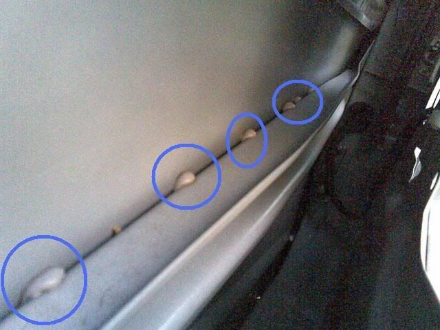 11012009005.jpg