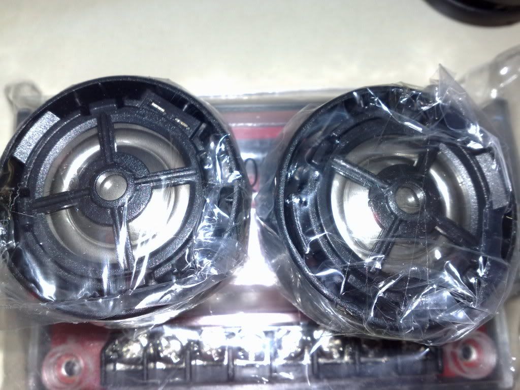11022010559.jpg