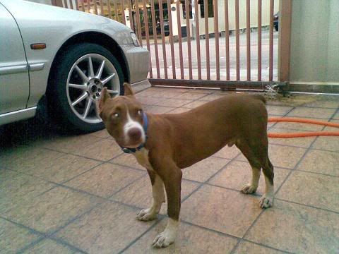 14062008005.jpg