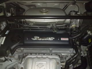 16112009167.jpg