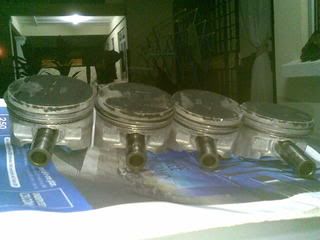 17022009.jpg