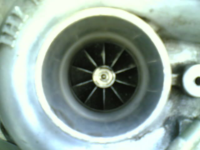 17122007010.jpg