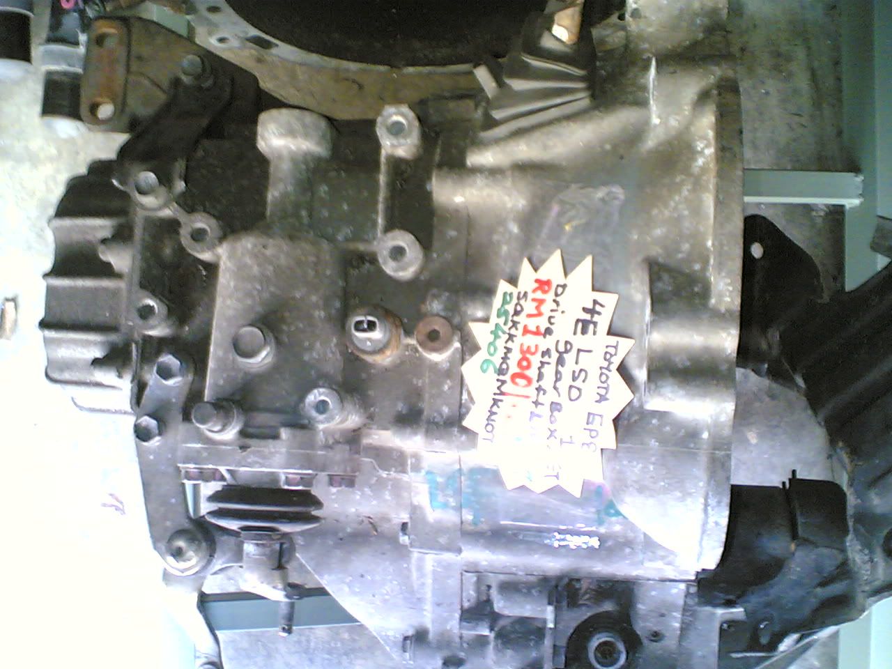 20062006.jpg