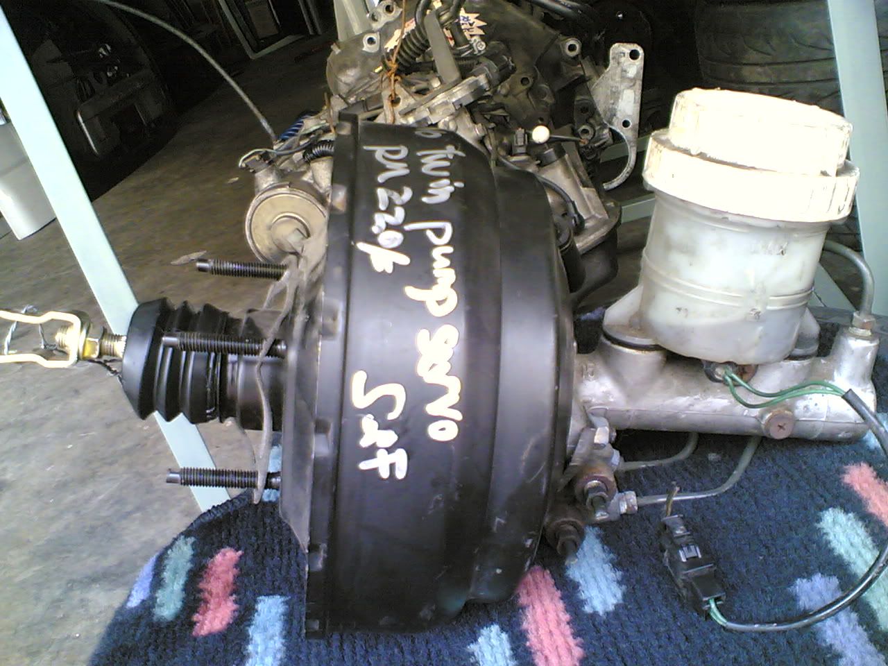20062006025.jpg