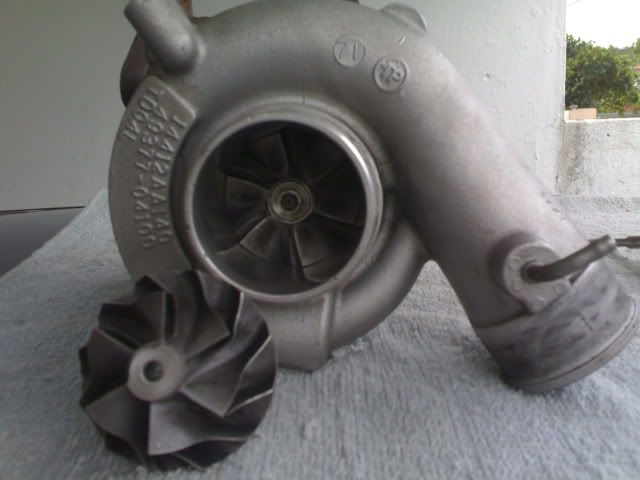 20082010631.jpg