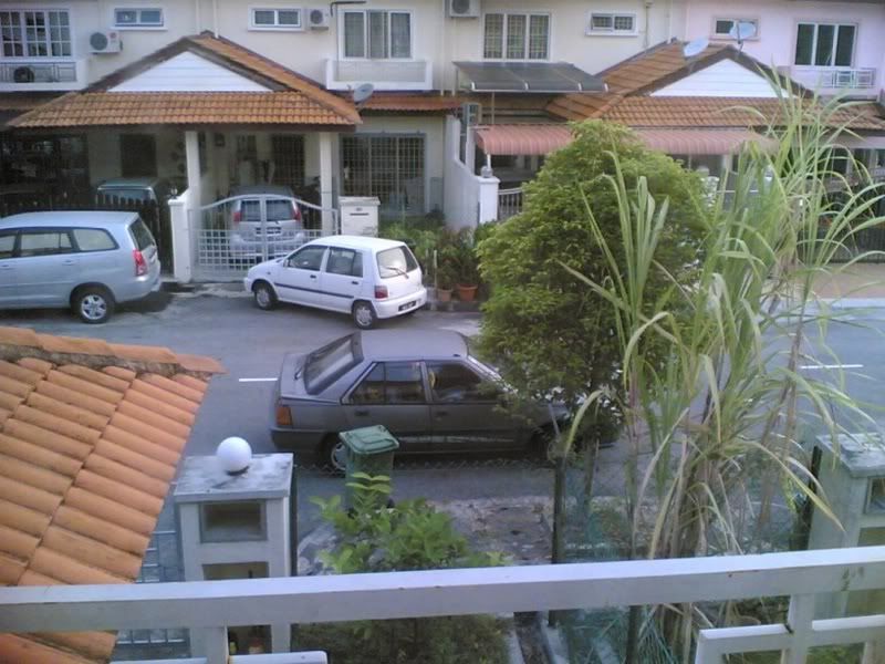 20092006m.jpg