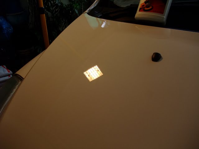 2010_04040064.jpg