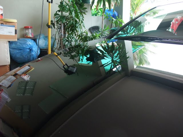 2010_04110284.jpg