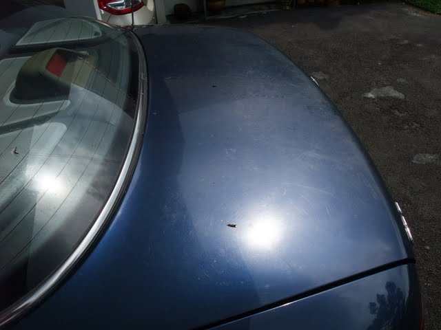 2010_05020168.jpg