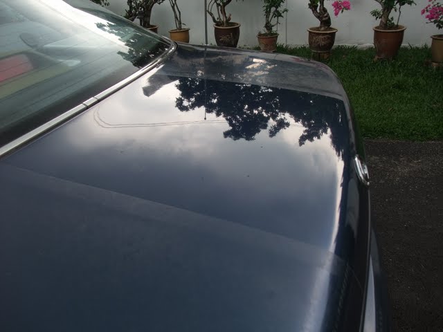 2010_05020215.jpg