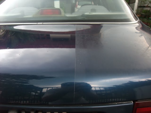 2010_05020217.jpg
