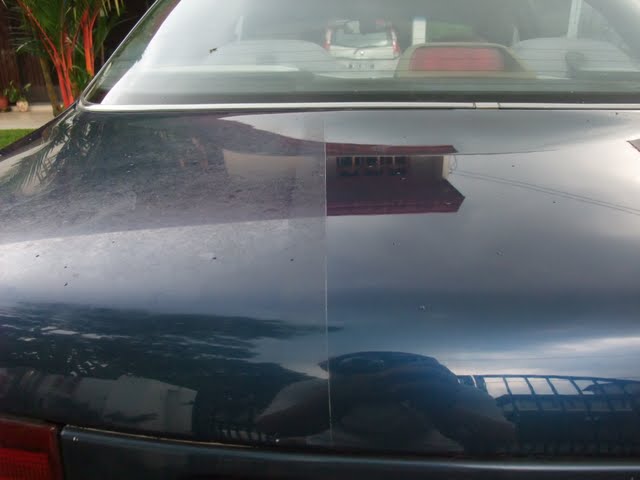 2010_05020218.jpg