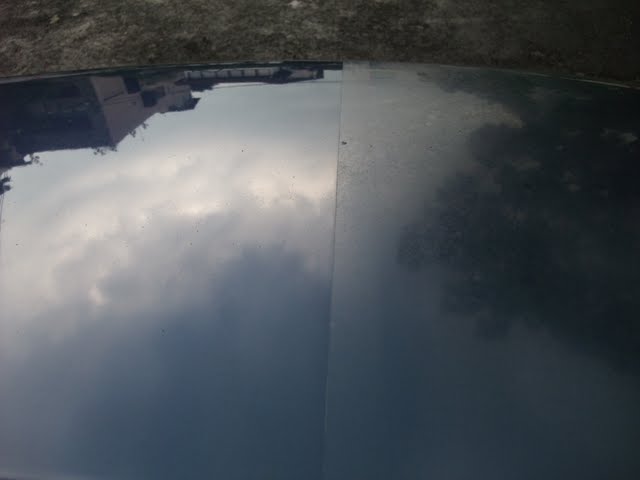 2010_05020241.jpg