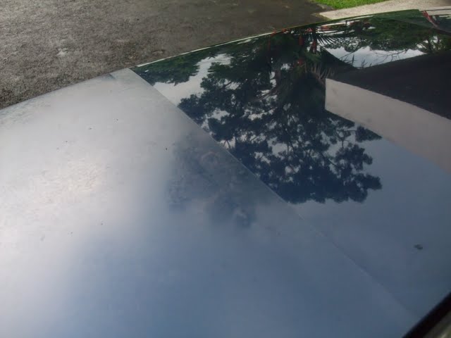 2010_05020248.jpg