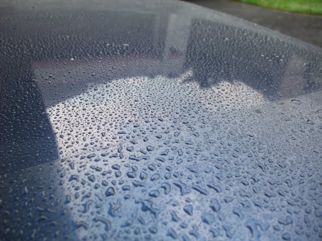 2010_05140010.jpg