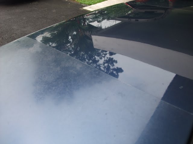 2010_05140022.jpg