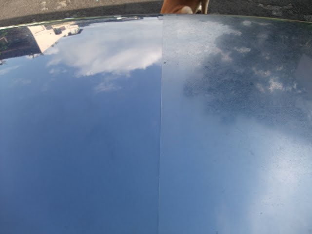 2010_06050053.jpg