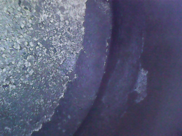 20190106_135050.jpg