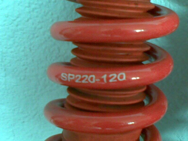 21022009002.jpg