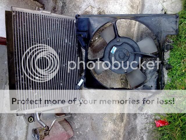 21032010761.jpg