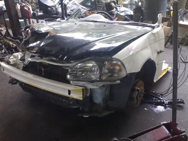 24052006103.jpg