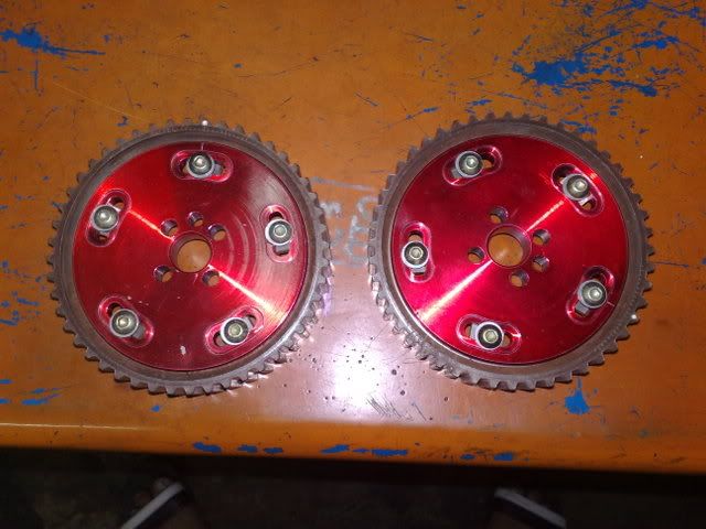 24112008210.jpg