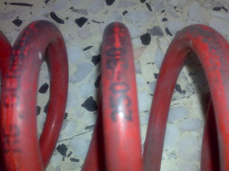 25012010046.jpg