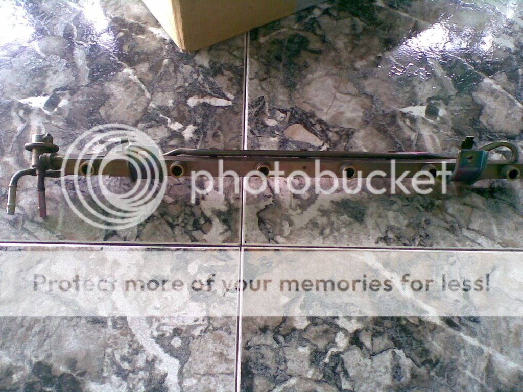 25062008016.jpg