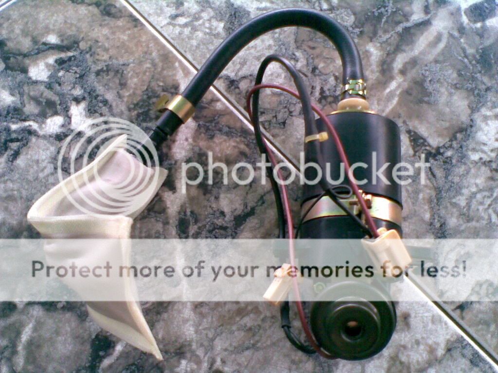 25062008018.jpg