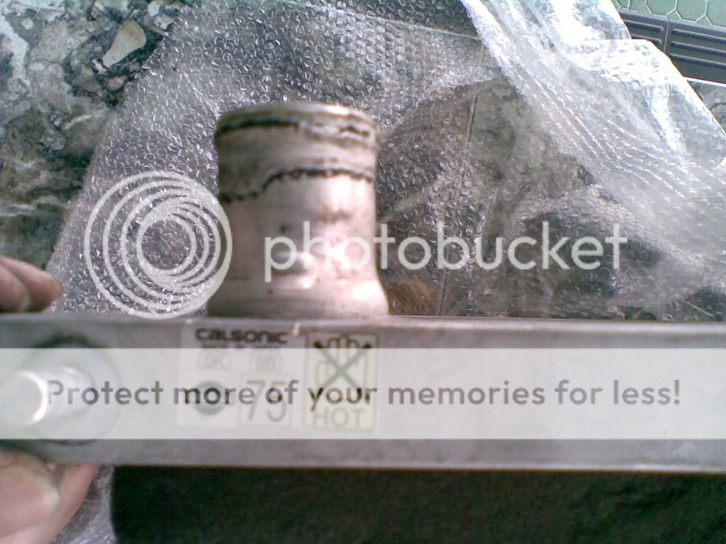 25062008031.jpg