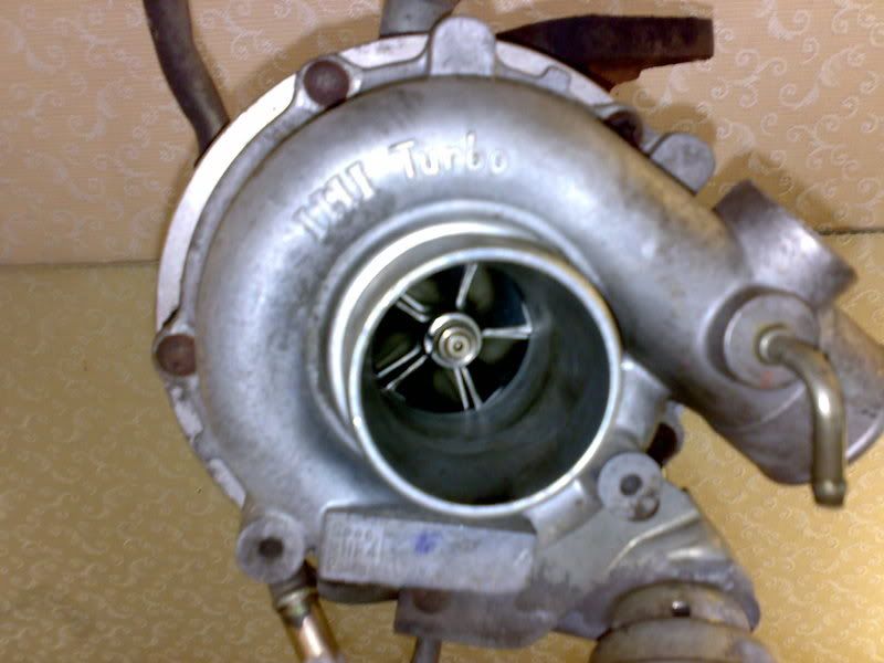 251020081237.jpg