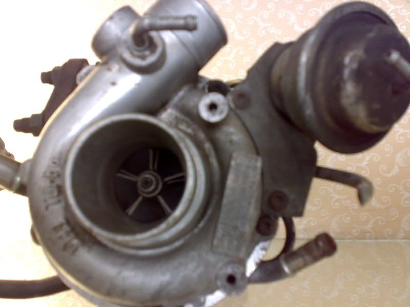251020081245.jpg