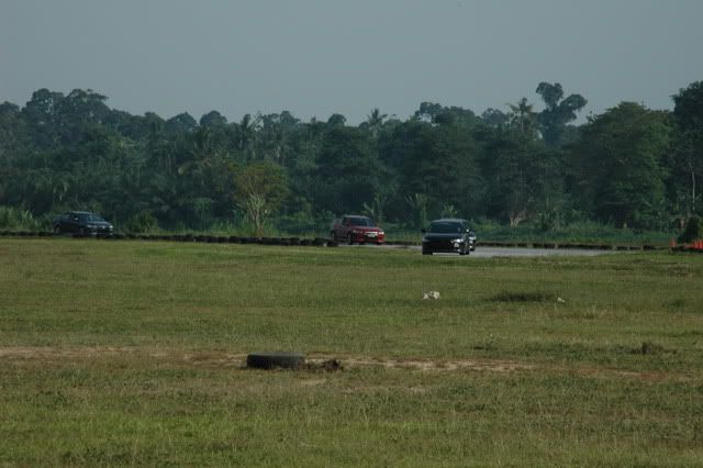 259.jpg