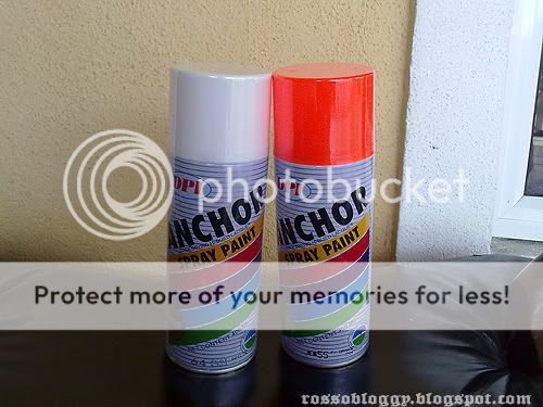 29012010396copy.jpg