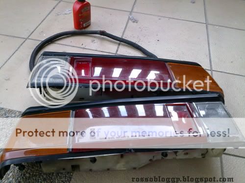 29012010409copy.jpg