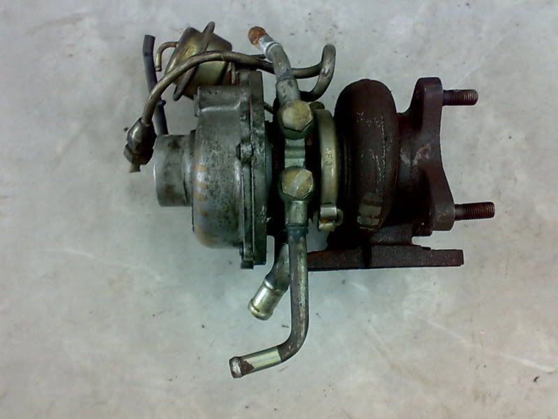 300520092024.jpg