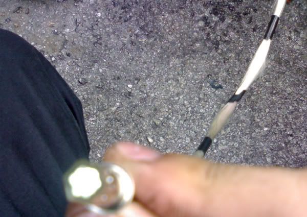 30062007513.jpg