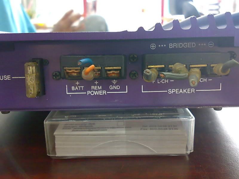 30102008597.jpg