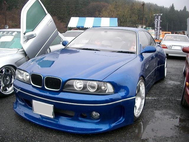461.jpg