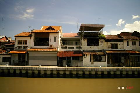_IGP3401copy_resize.jpg